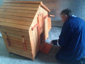 Chris builds my coop.  Yes it's little but I want to start out small.